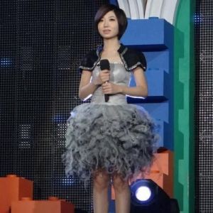 揭秘2011快女洪辰现状：曾红极一时却突然消失，背后原因引人深思