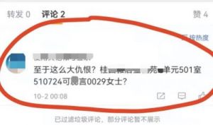 苏小妍被网暴事件：深入了解背后原因