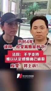 徐翔何时出狱？妻子应莹的离婚申请原因及她的长相