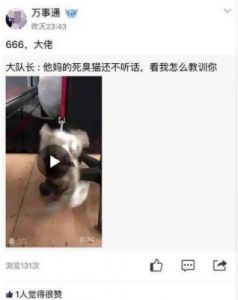  UP主咬人猫的真实身份究竟是谁？揭秘背后的黑料与真相！