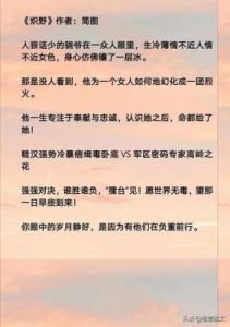  主军婚题材优质文笔推荐，军婚小说引人入胜的全文阅读