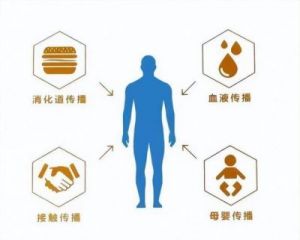  主玉米男孩照片引发热议，网友：没密集恐惧症的请忽略它的存在