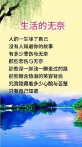 《四海：无奈身不由己的电影解析》