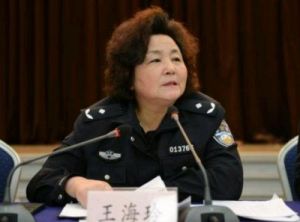 93年派出所女所长：美貌与才干并存