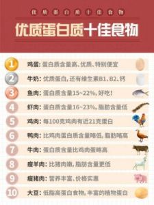 高蛋白食物Top10：哪些日常食物富含蛋白质？