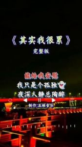 无人理解我眼中的泪水与疲惫-这首歌曲由谁演唱？