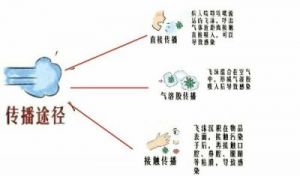 新冠病毒起源及传播时间线