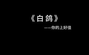 教堂的白鸽不会亲吻乌鸦是哪首歌？白鸽歌曲简介