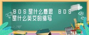 bds是什么意思？