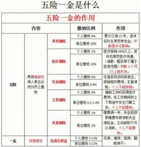 五种基本保险，五险一金涵盖哪些险和金？