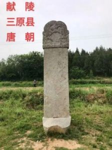 温韬简历：揭秘其如何盗掘唐朝皇家陵墓