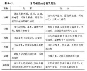 人身上螨虫咬图集与预防螨虫过敏指南