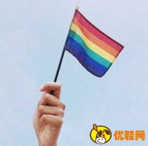 LGBTQ群体的含义及其中的“q”代表什么