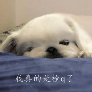 拴q是什么意思？口头禅拴q是什么梗的来源？