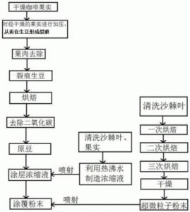 如何将咖啡豆制作成美味咖啡：详解煮咖啡豆的步骤