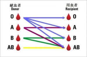 学霸血型分布：哪些血型最爱考清华？