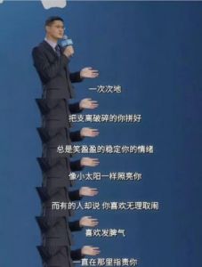 罗翔经典语录32句精选