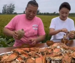 东北雨姐群殴维权者引发连锁事件，厂家在评论区被揭露，本溪公安受到质疑