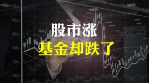 股市飙升，解析基金最新研判