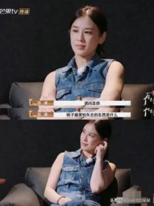 黄圣依与杨子：真实情感、复杂娱乐及多元公众视角的交织