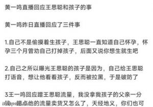 黄一鸣揭秘与王思聪相识过程，私生女事件引发热议