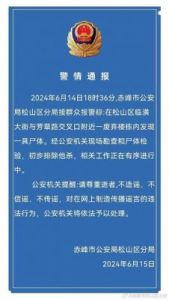 琼瑶离世引发对老年人心理健康的深思与关注