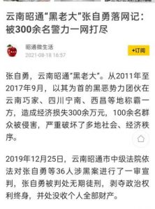 向太与史晓燕直播对决，背后隐藏的娱乐圈权力游戏揭秘