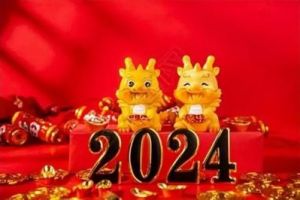 2024年：女性创作引领新方向，探索痛苦与自由的艺术旅程