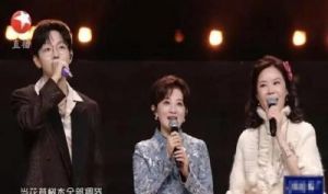 2025跨年晚会：追忆琼瑶女郎共谱感人回忆