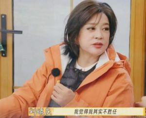 刘晓庆与李小冉：撕咖大战背后的深意与人生思考