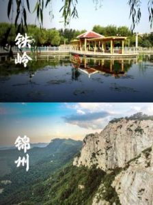 铁岭：东北喜剧与文化复兴之地，年轻人的精神归属