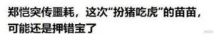 《跑男》郑恺：从综艺顶流到困境反思他的资本之路